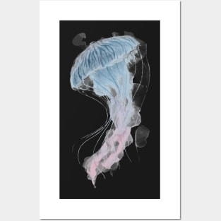 jellyfish Posters and Art